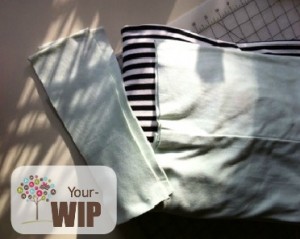 The Sewing Loft Online Community WIP
