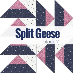 Block 7 Split Geese | Starry Night Quilt BOM