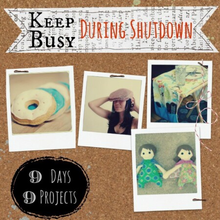 Keep Busy During Shutdown | 9 Days 9 Projects