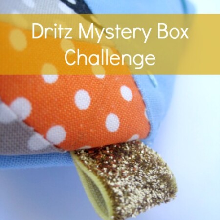 Dritz Mystery Box Challenge zipper bag with pattern. The Sewing Loft
