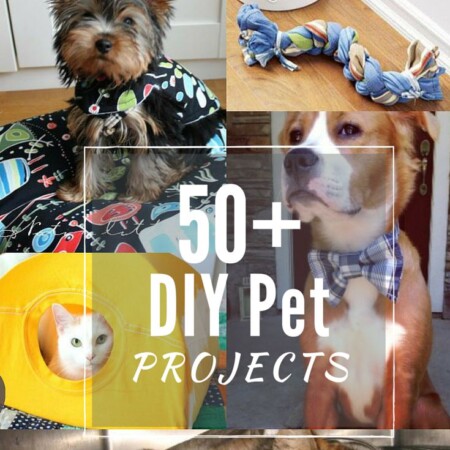 50+ Fun DIY pet projects to make your furry friend feel special! Most of these patterns are easy to sew for any skill level. The Sewing Loft
