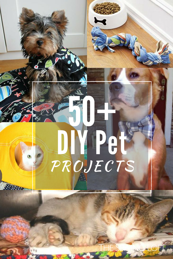 11+ DIY Projects For Your Dog!