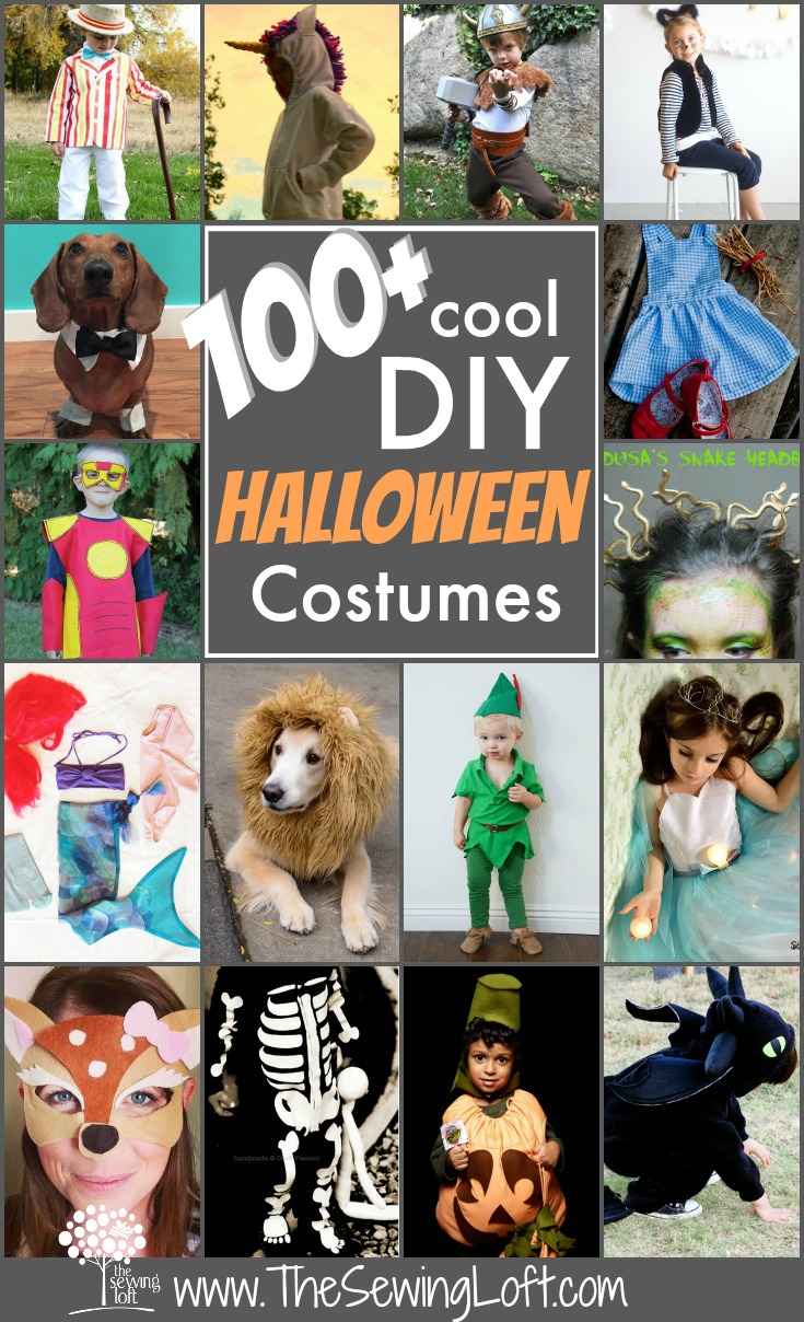 100 Creative DIY Costume Ideas for Dogs