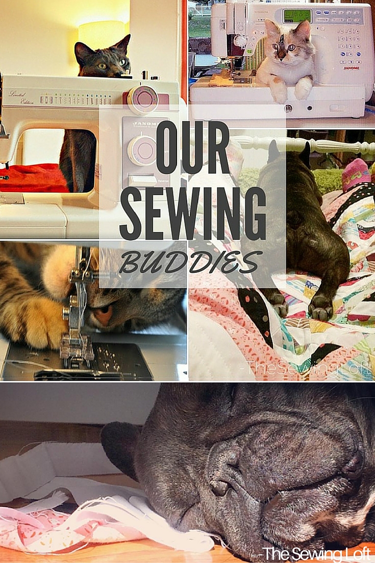 Check out how these four legged sewing buddies keep us in stitches while we sew.