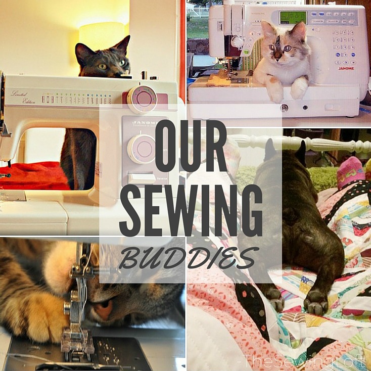 Our FourLegged Sewing Friends The Sewing Loft