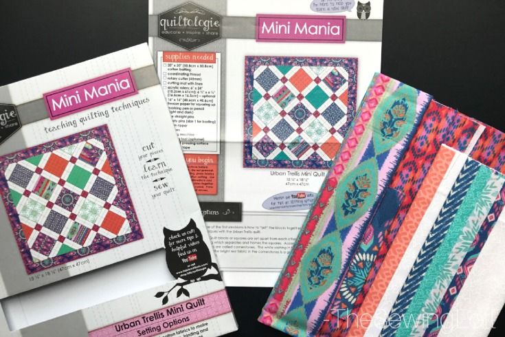 Expand your quilting knowledge while making something fun with the Quiltologie Urban Trellis mini quilt. Includes video how to for simple setting technique. 