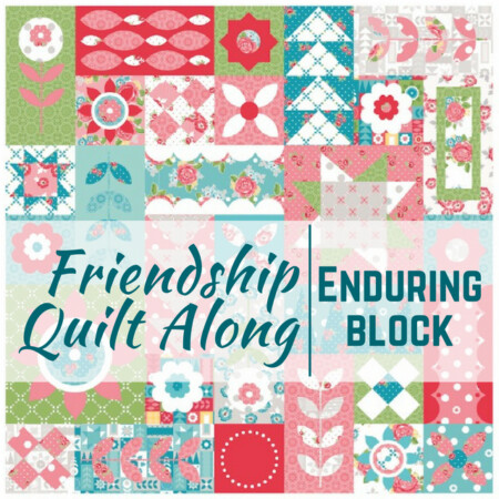 Enduring Quilt Block | Friendship Quilt Along