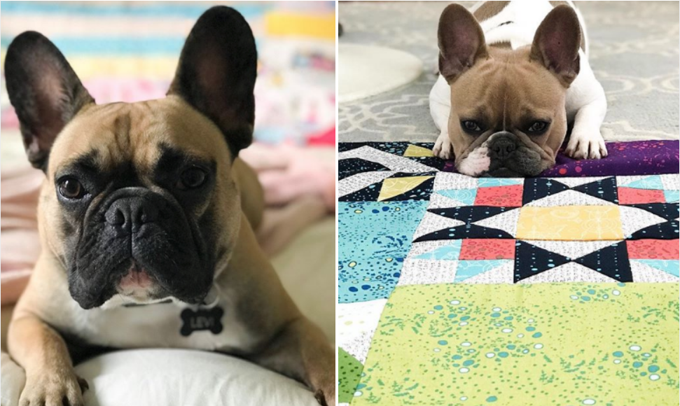 Quilting with friends | The Sewing Loft